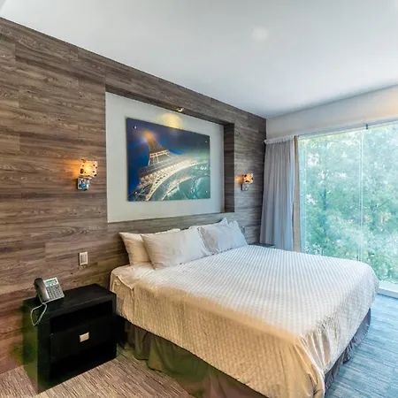 Elite 47 Interlomas Bed & Breakfast