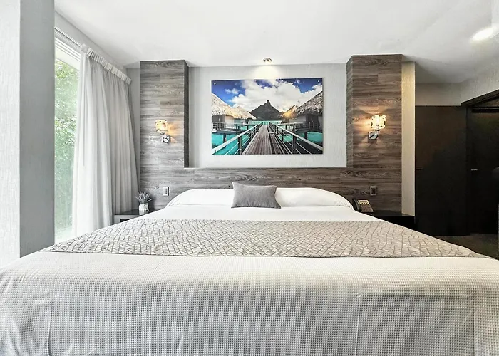 Elite 47 Interlomas Bed and breakfast